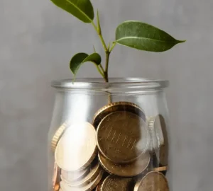 front-view-hand-adding-coin-jar-with-plant-other-coins